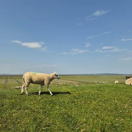 Grosse In Der Husum Nordsee