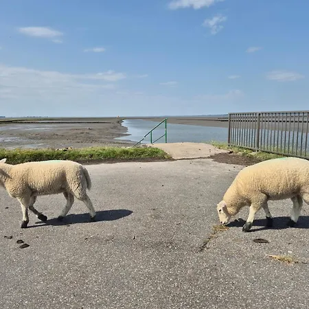 Grosse In Der Husum Nordsee アパート Hattstedt